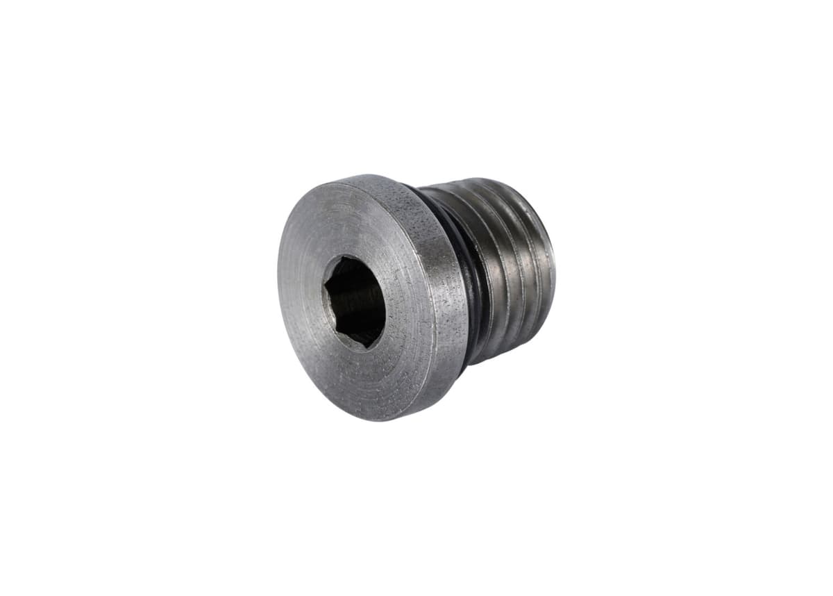 ASSEMBLY, PLUG
