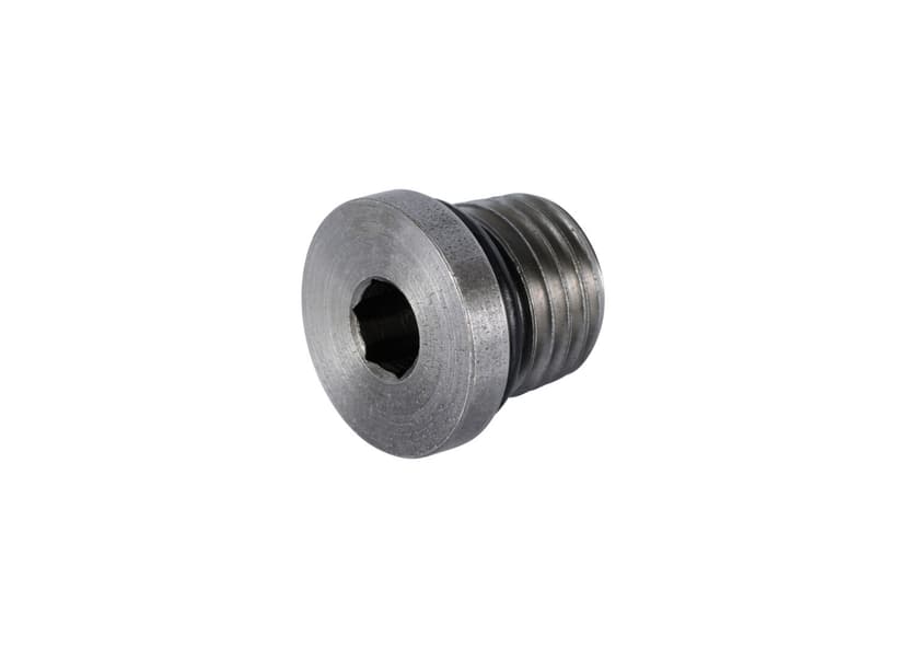 ASSEMBLY, PLUG