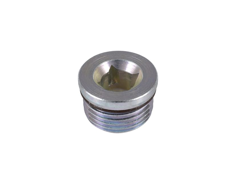 SCREW PLUG (DRAIN PLUG)