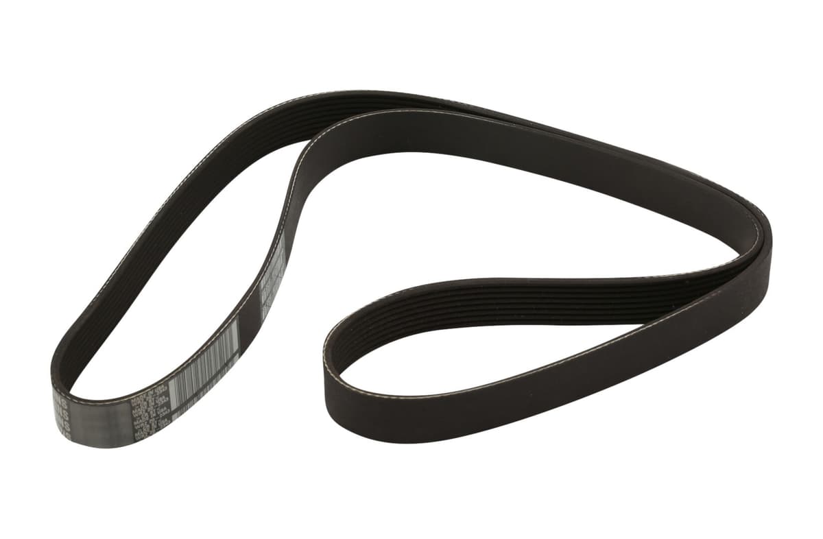 FAN BELT