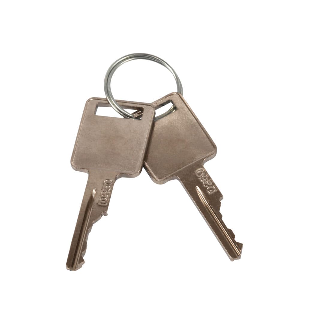 KEYS - RING OF 2