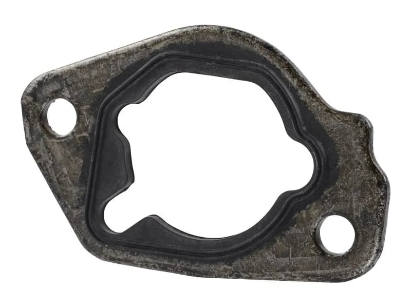70003494