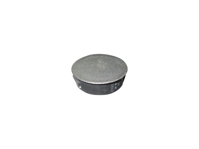 CAP/PLUG,HOLE