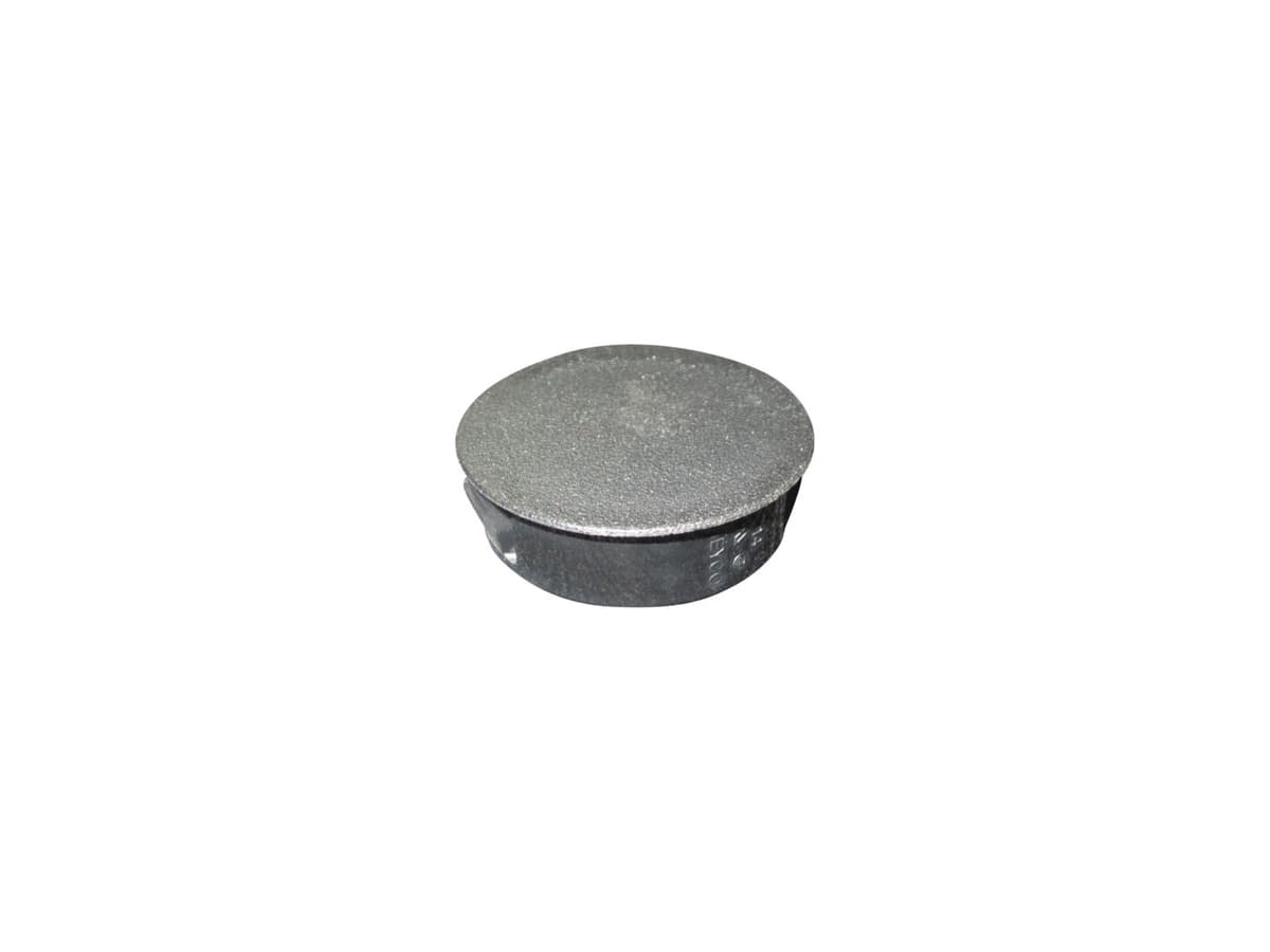 CAP/PLUG,HOLE