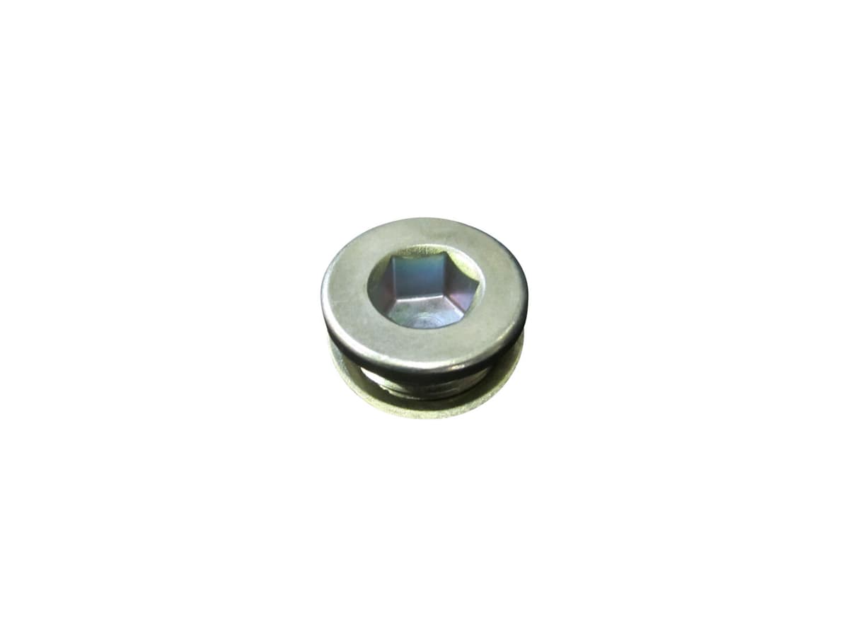 PLUG W/SEALING WASHER