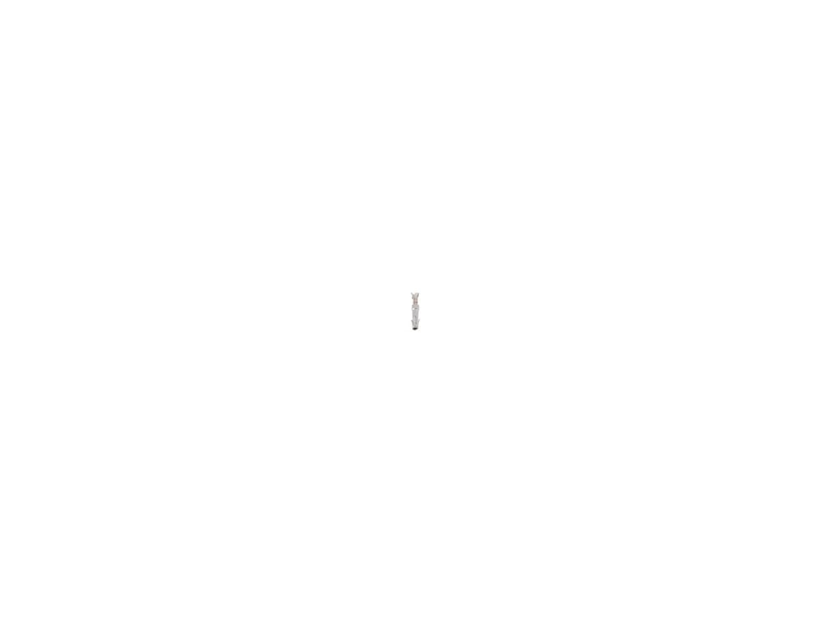 1730720025
