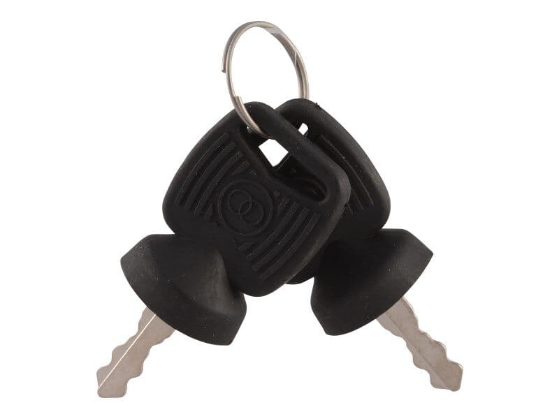 KEY, IGNITION SWITCH (SET OF 2)