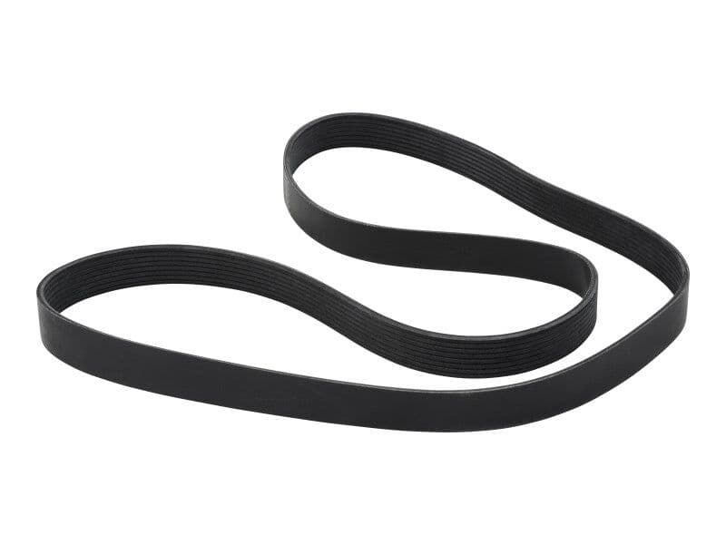 FAN BELT