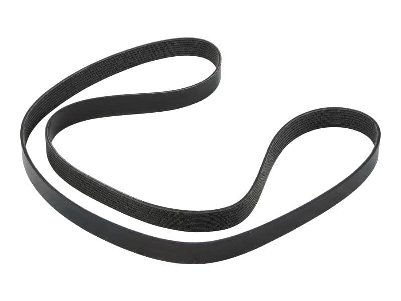 FAN BELT