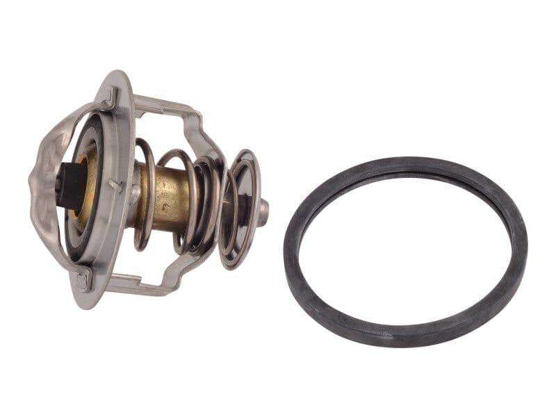 THERMOSTAT KIT