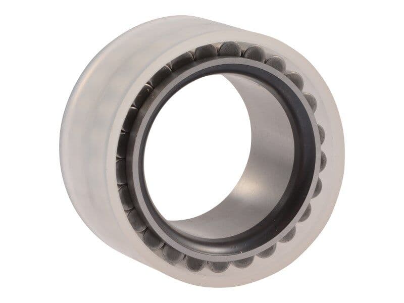 CYL ROLLER BEARING
