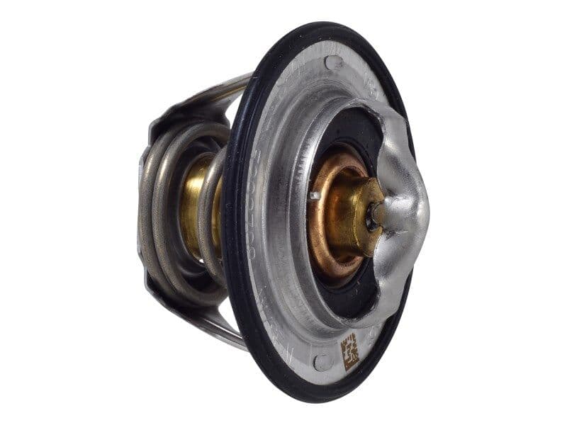 THERMOSTAT KIT