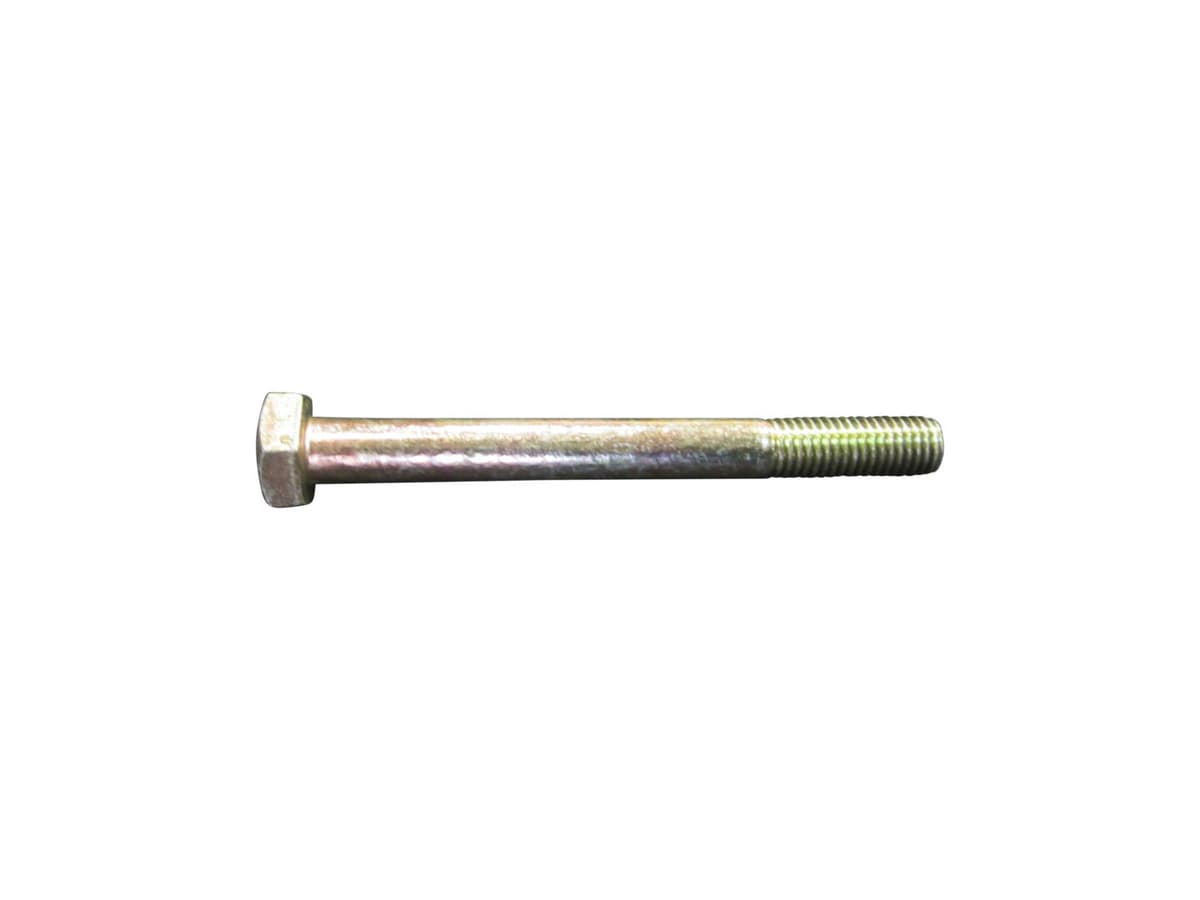 HEX HD CAP SCR 10X100