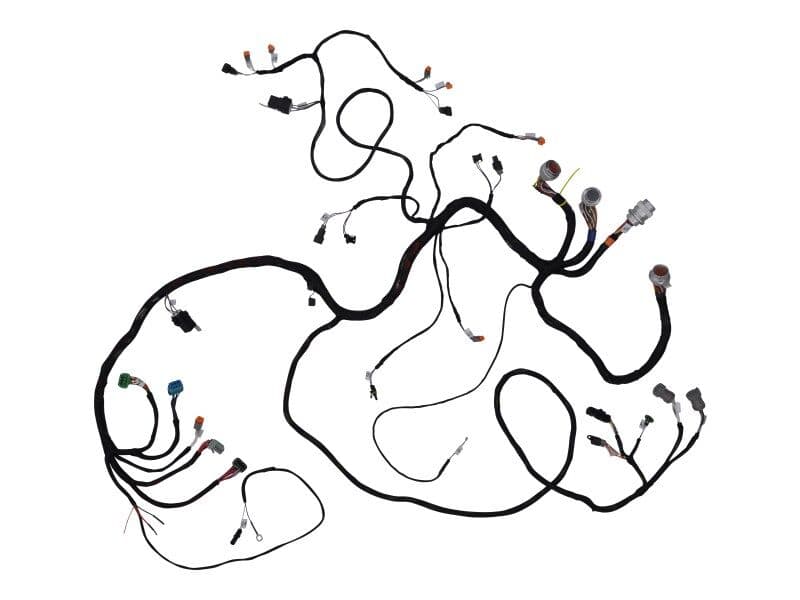 HARNESS