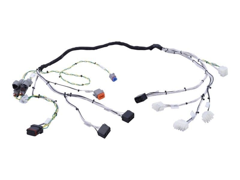 HARNESS