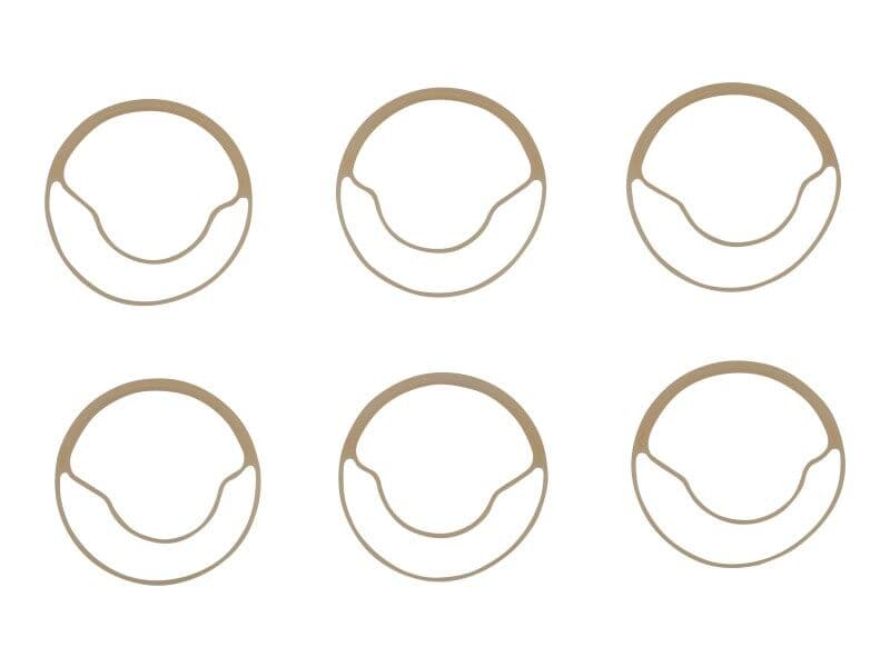 RING, SEAL