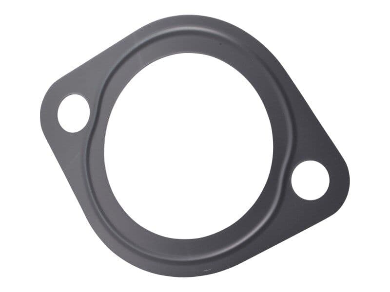 GASKET, THERMOSTAT
